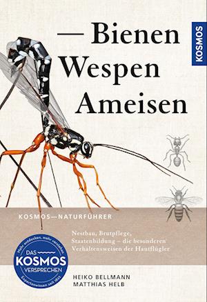 Bienen, Wespen, Ameisen