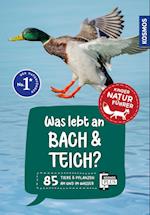 Was lebt an Bach und Teich? Kindernaturführer