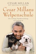 Cesar Millans Welpenschule