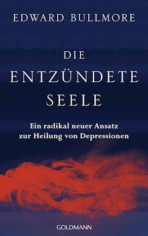 Die entzündete Seele