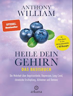 Heile dein Gehirn - Das Basisbuch