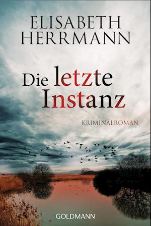 Die letzte Instanz