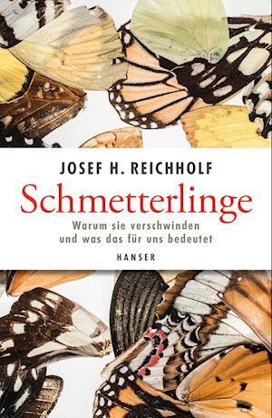 Schmetterlinge