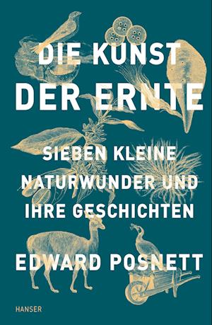 Die Kunst der Ernte