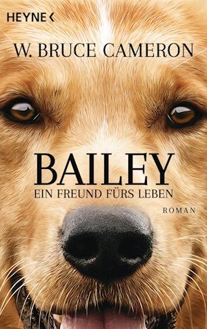 Bailey - Ein Freund fürs Leben