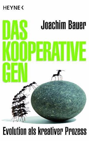 Das kooperative Gen