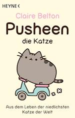 Pusheen, die Katze