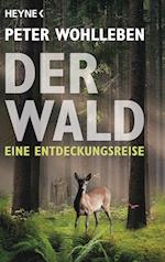 Der Wald