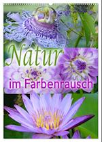 Natur im Farbenrausch (Wandkalender 2025 DIN A2 hoch), CALVENDO Monatskalender