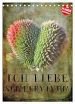 Ich liebe Sempervivum (Tischkalender 2025 DIN A5 hoch), CALVENDO Monatskalender