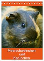 Meerschweinchen und Kaninchen Familienplaner (Tischkalender 2025 DIN A5 hoch), CALVENDO Monatskalender