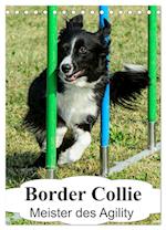 Border Collie Meister des Agility (Tischkalender 2025 DIN A5 hoch), CALVENDO Monatskalender