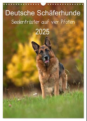 Deutsche Schäferhunde - Seelentröster auf vier Pfoten (Wandkalender 2025 DIN A3 hoch), CALVENDO Monatskalender