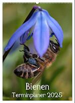 Bienen-Terminplaner 2025 (Wandkalender 2025 DIN A2 hoch), CALVENDO Monatskalender