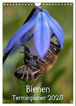 Bienen-Terminplaner 2025 (Wandkalender 2025 DIN A4 hoch), CALVENDO Monatskalender
