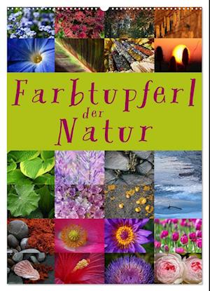 Farbtupferl der Natur (Wandkalender 2025 DIN A2 hoch), CALVENDO Monatskalender