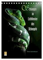 Schlangen im Lichtfenster des Dschungels (Tischkalender 2025 DIN A5 hoch), CALVENDO Monatskalender
