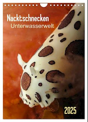 Nacktschnecken - Unterwasserwelt 2025 (Wandkalender 2025 DIN A4 hoch), CALVENDO Monatskalender