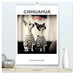 CHIHUAHUA CHIC Photos Marion Koell (hochwertiger Premium Wandkalender 2025 DIN A2 hoch), Kunstdruck in Hochglanz