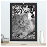 Katz & Maus (hochwertiger Premium Wandkalender 2025 DIN A2 hoch), Kunstdruck in Hochglanz