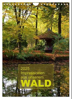 Impressionen aus unserem Wald (Wandkalender 2025 DIN A4 hoch), CALVENDO Monatskalender