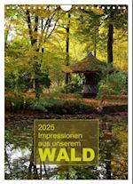 Impressionen aus unserem Wald (Wandkalender 2025 DIN A4 hoch), CALVENDO Monatskalender