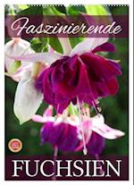 Faszinierende Fuchsien (Wandkalender 2025 DIN A2 hoch), CALVENDO Monatskalender