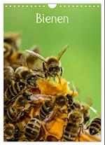 Bienen (Wandkalender 2025 DIN A4 hoch), CALVENDO Monatskalender