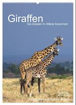 Giraffen - Die Grazien in Afrikas Savannen (Wandkalender 2025 DIN A2 hoch), CALVENDO Monatskalender