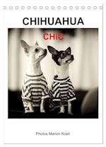 CHIHUAHUA CHIC Photos Marion Koell (Tischkalender 2025 DIN A5 hoch), CALVENDO Monatskalender