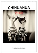 CHIHUAHUA CHIC Photos Marion Koell (Wandkalender 2025 DIN A2 hoch), CALVENDO Monatskalender