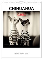 CHIHUAHUA CHIC Photos Marion Koell (Wandkalender 2025 DIN A4 hoch), CALVENDO Monatskalender