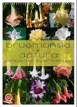 Brugmansia & Datura - Exotische Schönheiten (Wandkalender 2025 DIN A3 hoch), CALVENDO Monatskalender