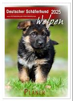 Deutscher Schäferhund - Welpen, Planer (Wandkalender 2025 DIN A2 hoch), CALVENDO Monatskalender
