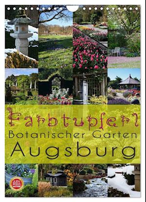 Farbtupferl - Botanischer Garten Augsburg (Wandkalender 2025 DIN A4 hoch), CALVENDO Monatskalender