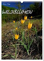 WILDBLUMEN (Wandkalender 2025 DIN A3 hoch), CALVENDO Monatskalender