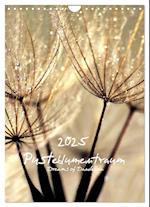 Pusteblumentraum - Dreams of Dandelion (Wandkalender 2025 DIN A4 hoch), CALVENDO Monatskalender