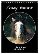 Crazy horses (Tischkalender 2025 DIN A5 hoch), CALVENDO Monatskalender