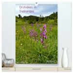 Orchideen in Südeuropa (hochwertiger Premium Wandkalender 2025 DIN A2 hoch), Kunstdruck in Hochglanz