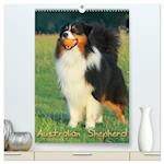 Australian Shepherd (hochwertiger Premium Wandkalender 2025 DIN A2 hoch), Kunstdruck in Hochglanz