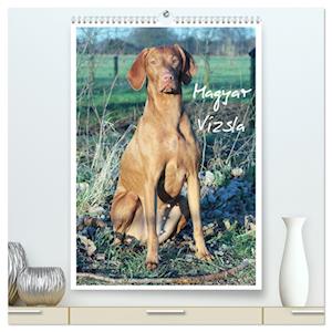 Magyar Vizsla (hochwertiger Premium Wandkalender 2025 DIN A2 hoch), Kunstdruck in Hochglanz