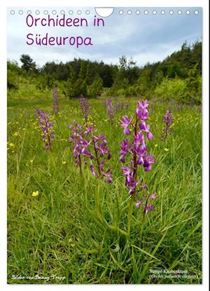 Orchideen in Südeuropa (Wandkalender 2025 DIN A4 hoch), CALVENDO Monatskalender