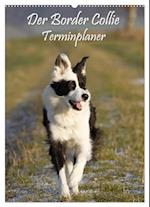 Der Border Collie Terminplaner (Wandkalender 2025 DIN A2 hoch), CALVENDO Monatskalender