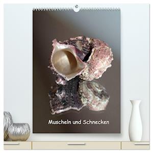 Muscheln und Schnecken (hochwertiger Premium Wandkalender 2025 DIN A2 hoch), Kunstdruck in Hochglanz