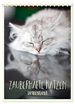 Zauberhafte Katzen - Familienplaner (Tischkalender 2025 DIN A5 hoch), CALVENDO Monatskalender