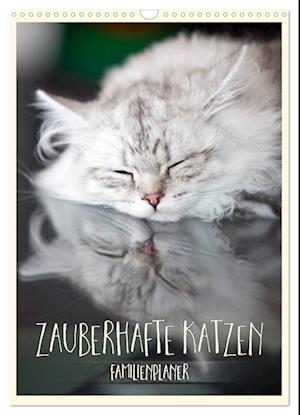 Zauberhafte Katzen - Familienplaner (Wandkalender 2025 DIN A3 hoch), CALVENDO Monatskalender