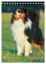 Australian Shepherd (Tischkalender 2025 DIN A5 hoch), CALVENDO Monatskalender