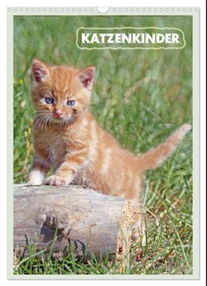 Katzenkinder (Wandkalender 2025 DIN A3 hoch), CALVENDO Monatskalender