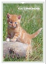 Katzenkinder (Wandkalender 2025 DIN A4 hoch), CALVENDO Monatskalender