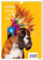 colorful world of boxer 2025 (Wandkalender 2025 DIN A4 hoch), CALVENDO Monatskalender